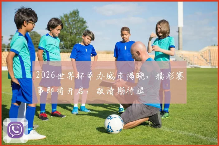 2026世界杯举办城市揭晓，精彩赛事即将开启，敬请期待逗