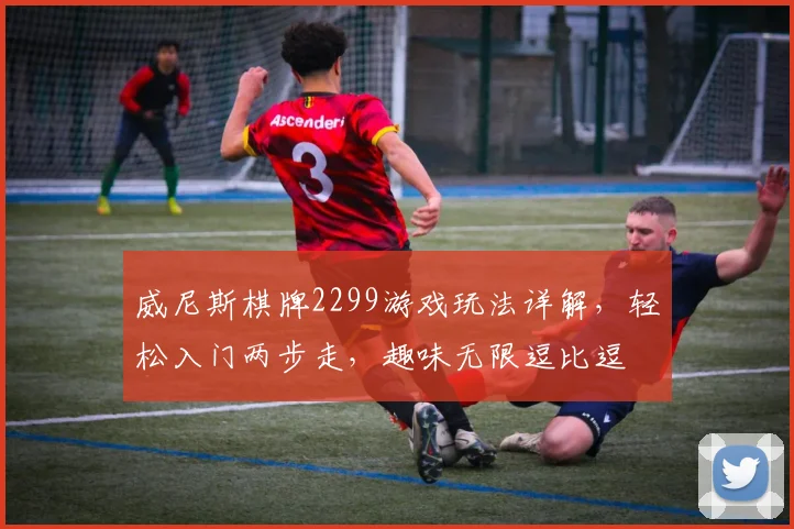 威尼斯棋牌2299游戏玩法详解，轻松入门两步走，趣味无限逗比逗